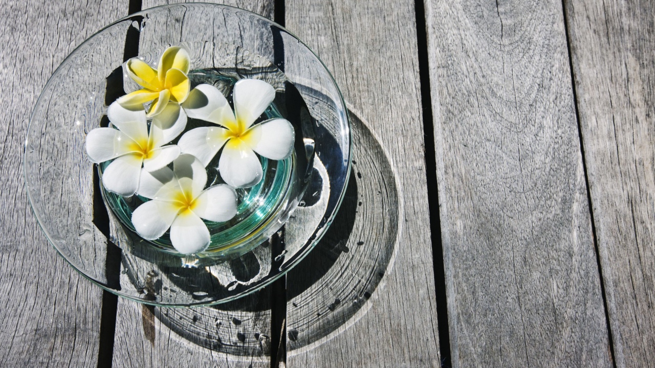 белая композиция