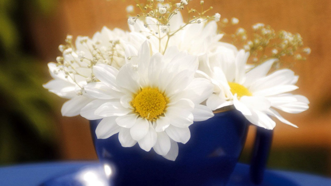 Белые светящиеся цветы