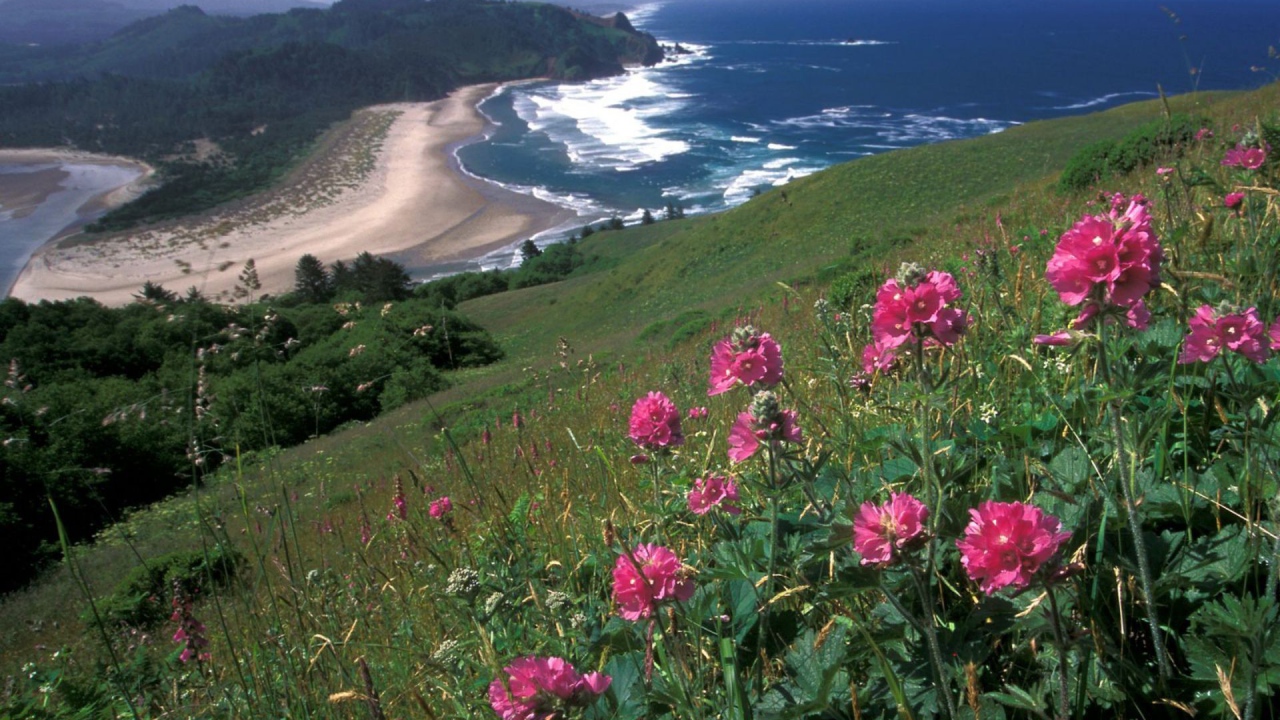 Вид на море с горы