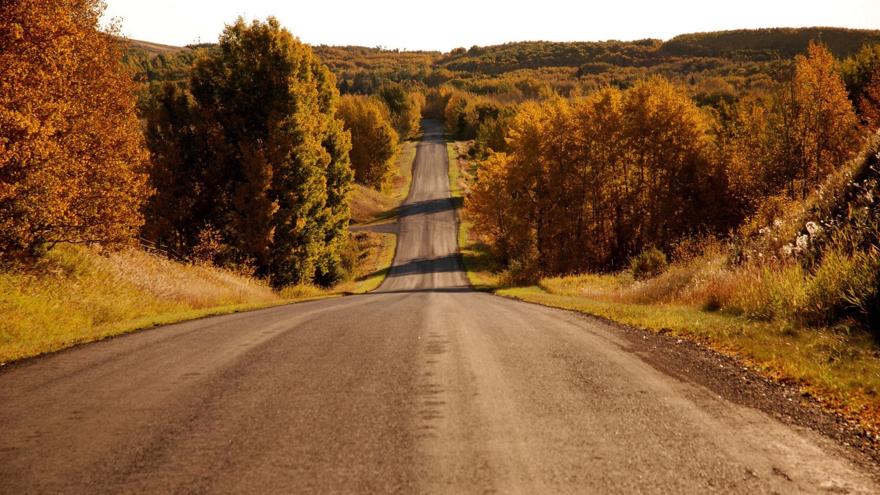 Пейзаж у дороги