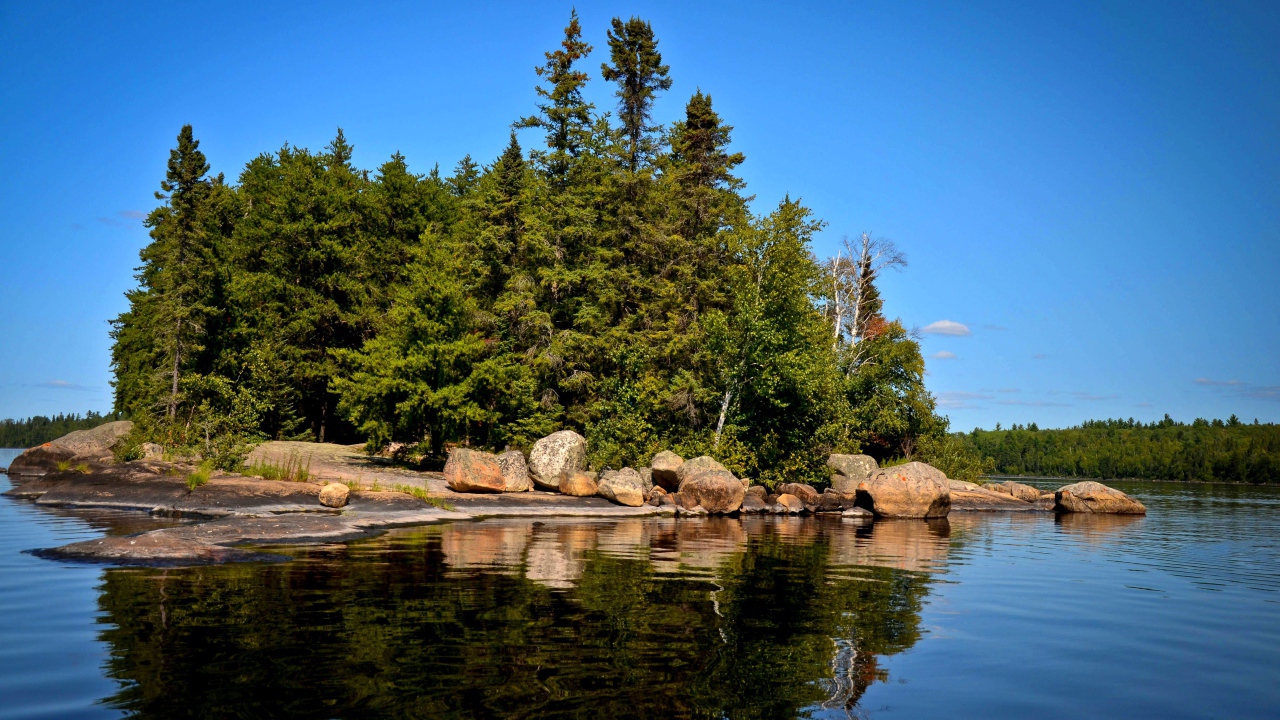 Поросший лесом остров