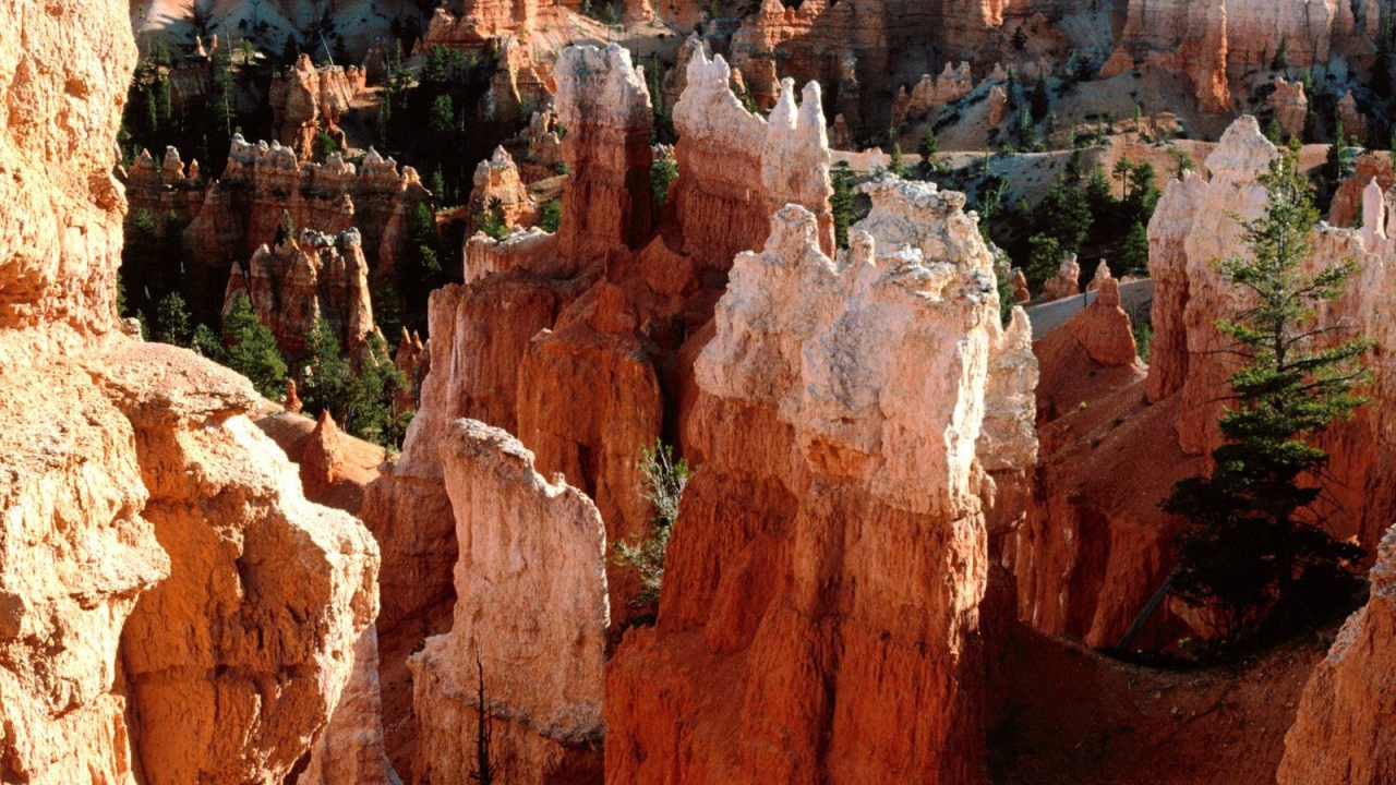 Каньон Брюс