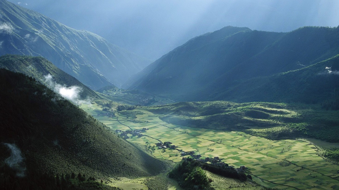 Поле в долине