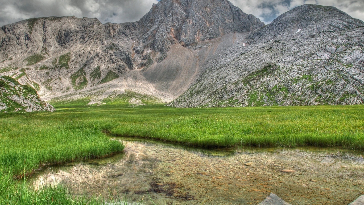 Заросшее травой озеро