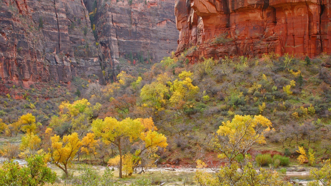 Растительность в горах