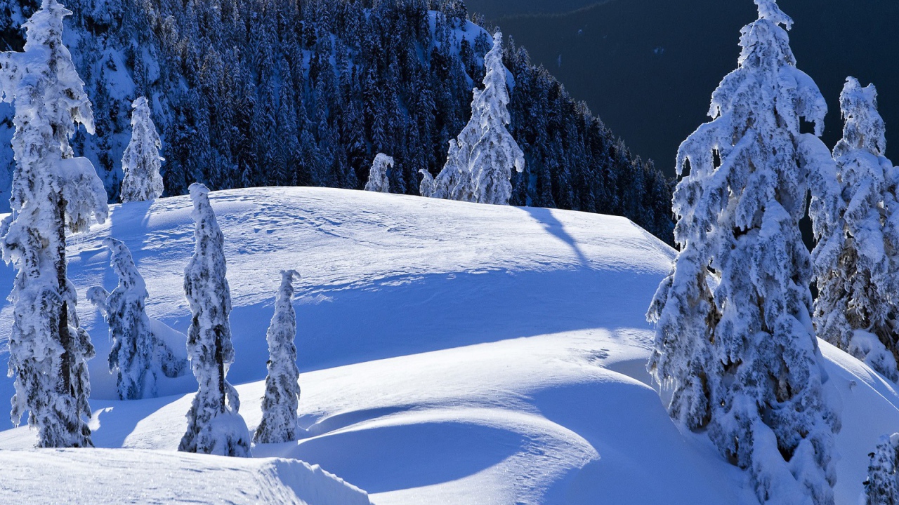 Горный пейзаж Колумбии