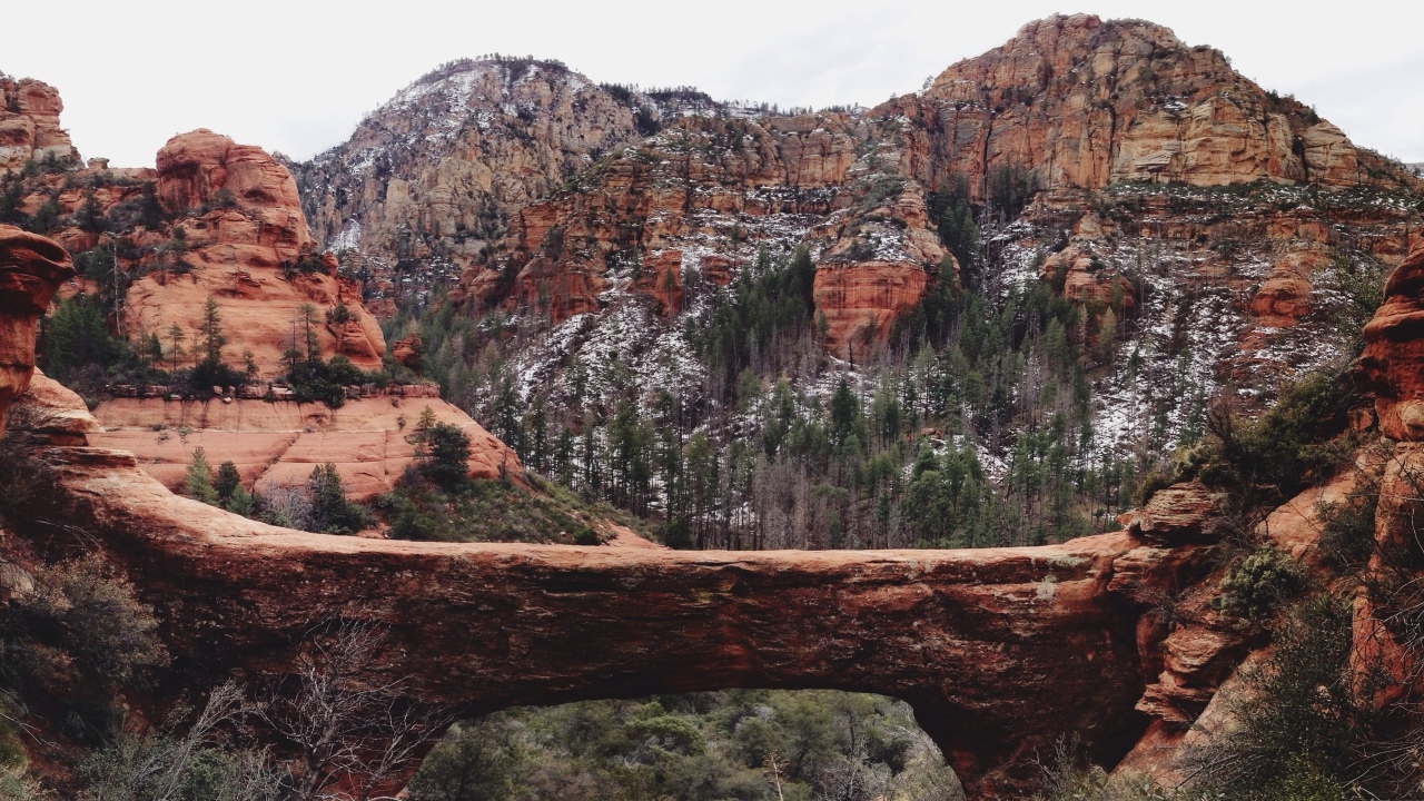 Мост через ущелье