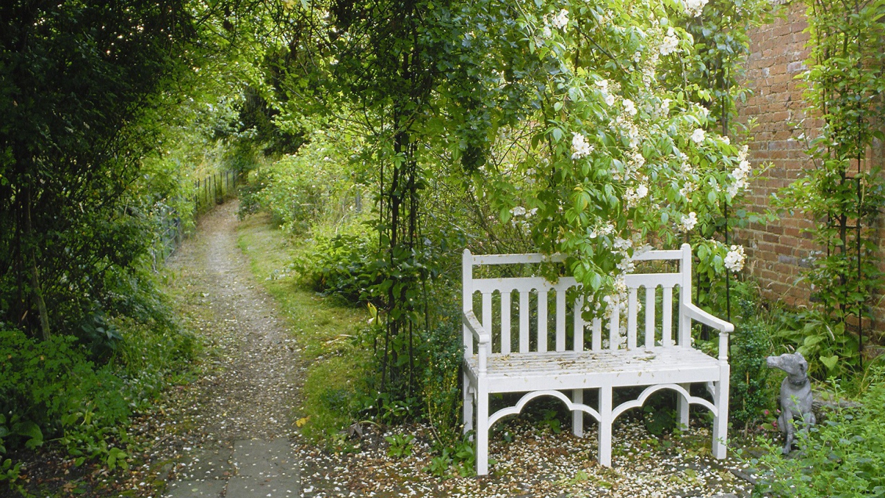 Сад в Английском стиле
