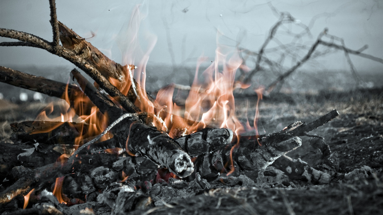 Огонь костра