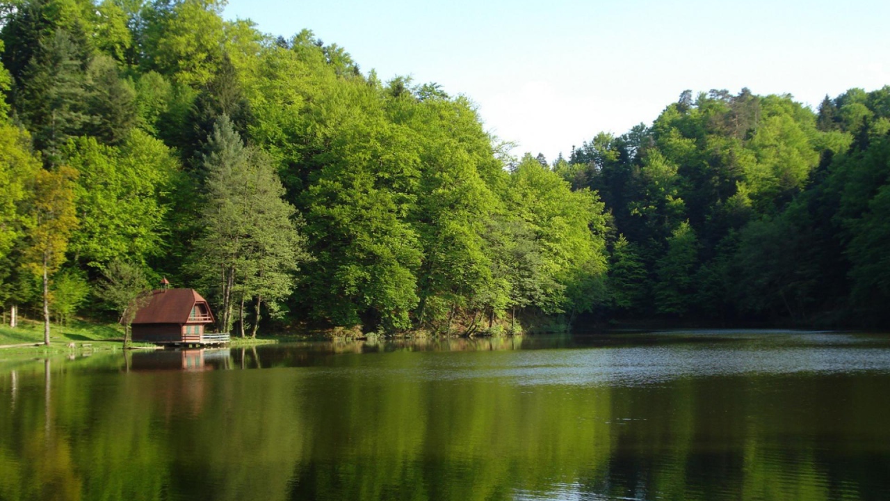 Лесной домик на берегу озера