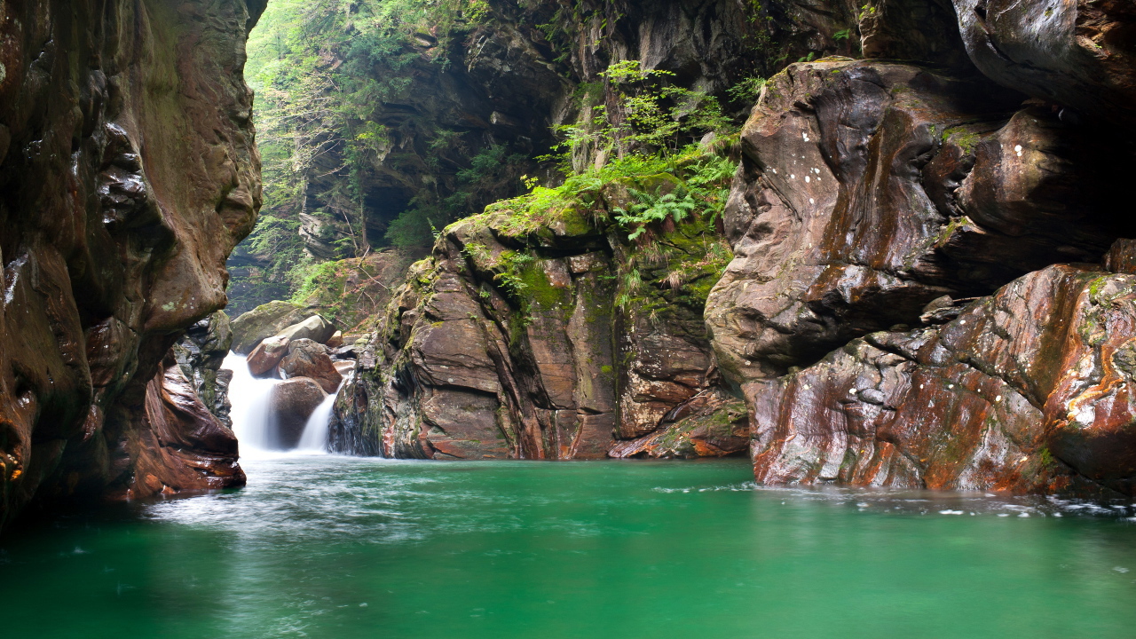 Зеленая вода в реке