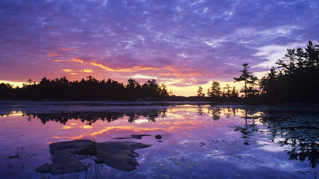 Заросшее озеро на закате