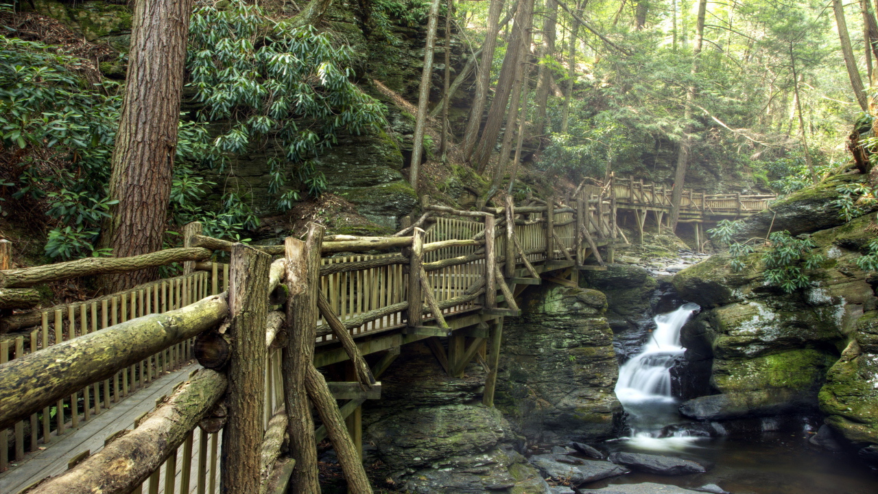 Деревянный мост