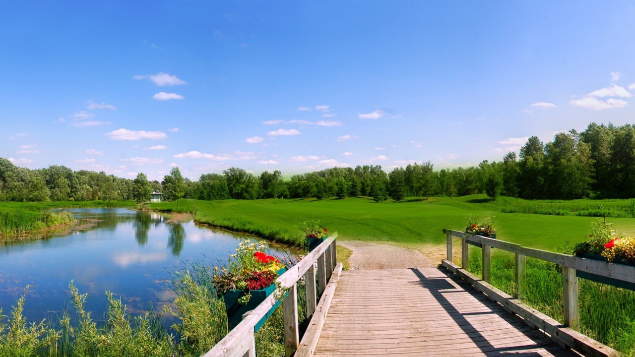 Деревянный мост на озере