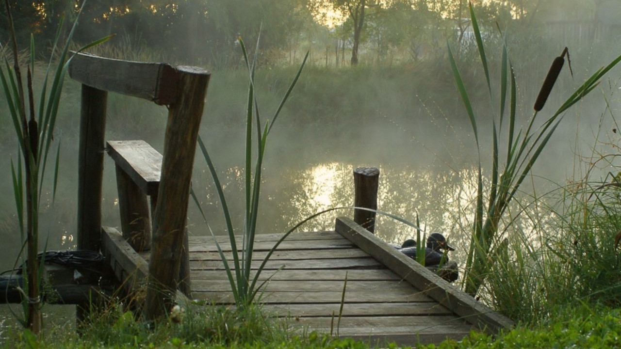 	   Morning fog over the pond