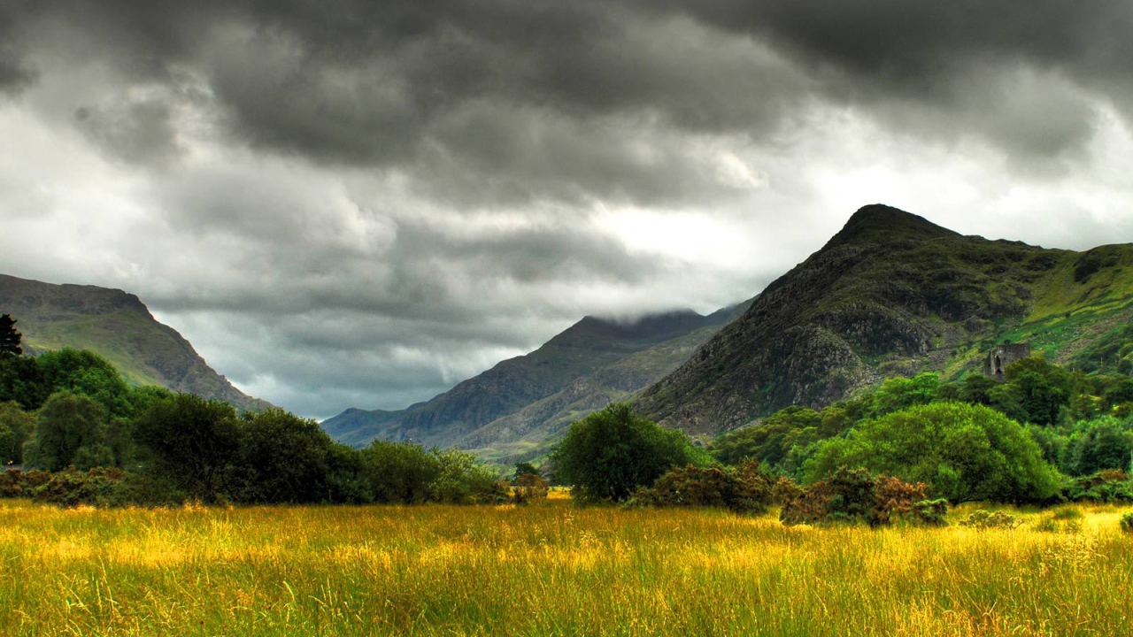 Болото заросшее травой
