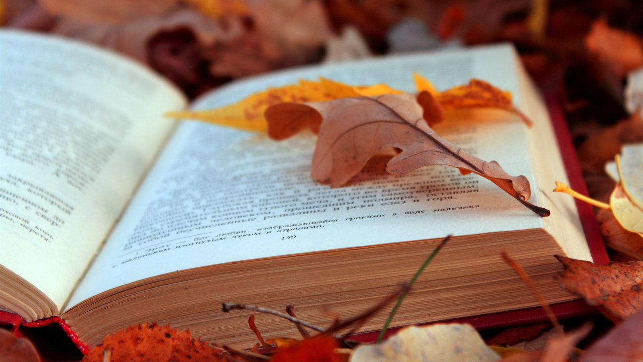 	   Book on autumn leaves