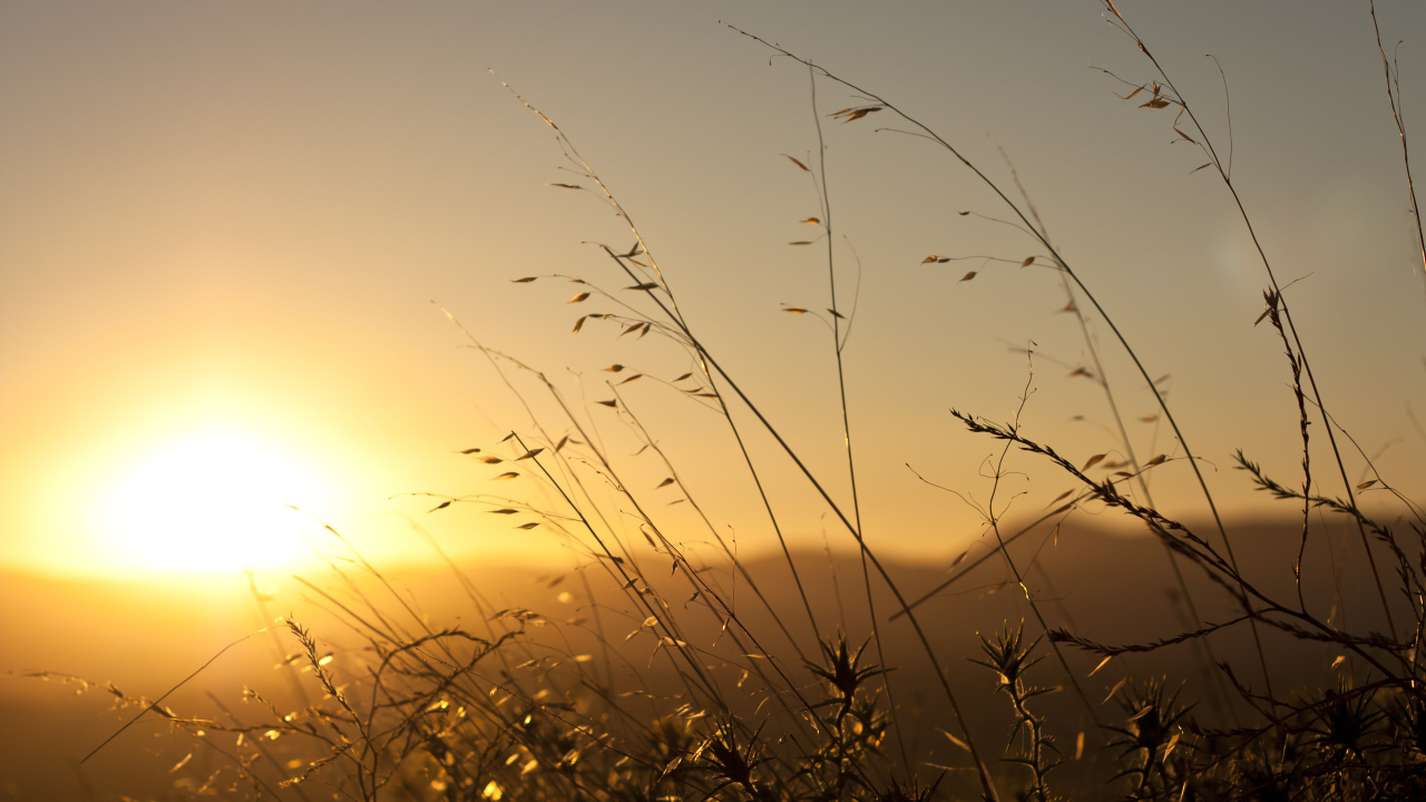 Восход весеннего солнца