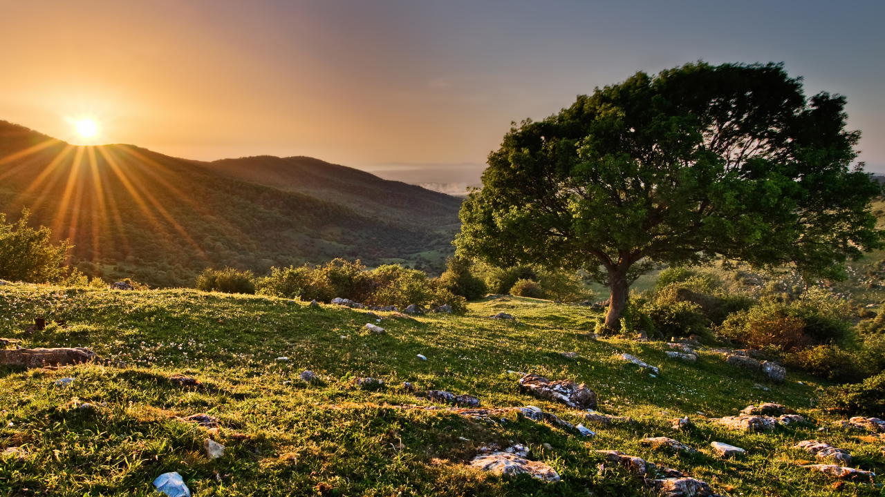 Закат в заповеднике