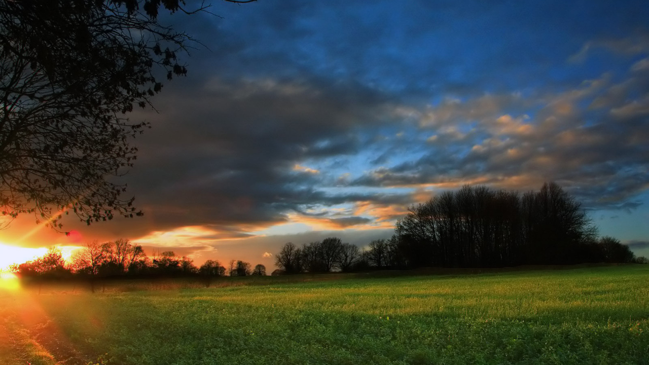 Закат на зеленом поле