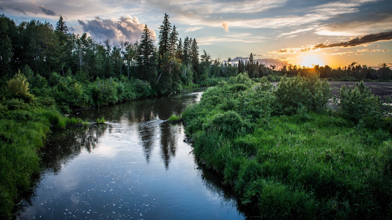 Закат над лесной рекой