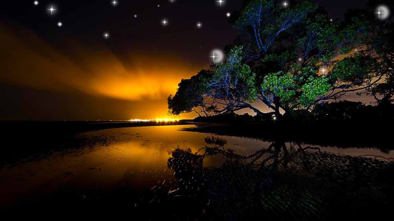 Звезды на ночном небе