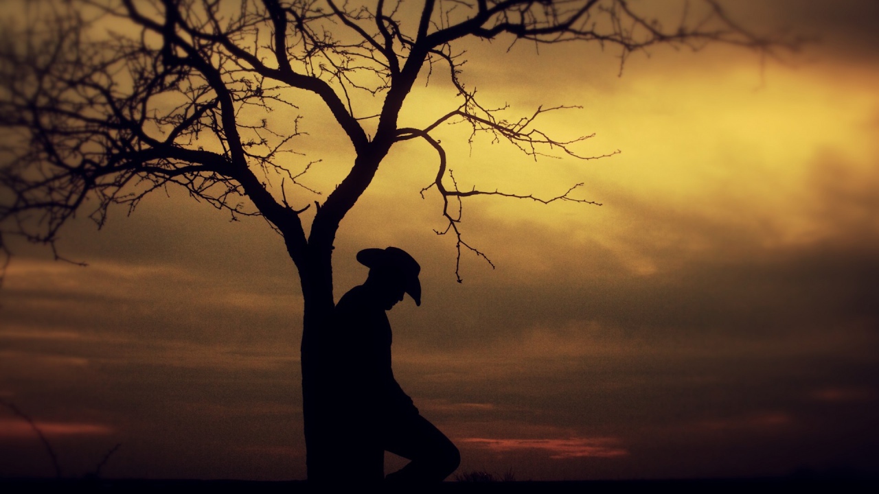 Силуэт человека у дерева