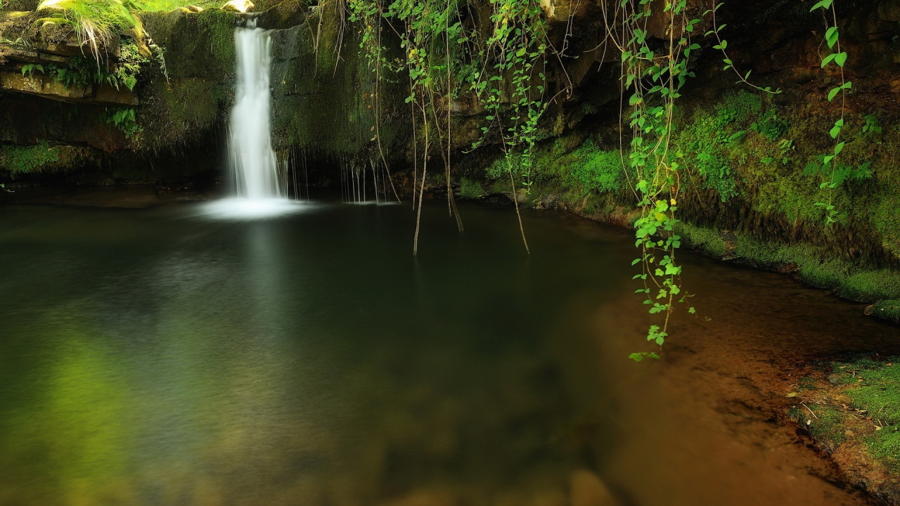 Водопад среди зеленой травы