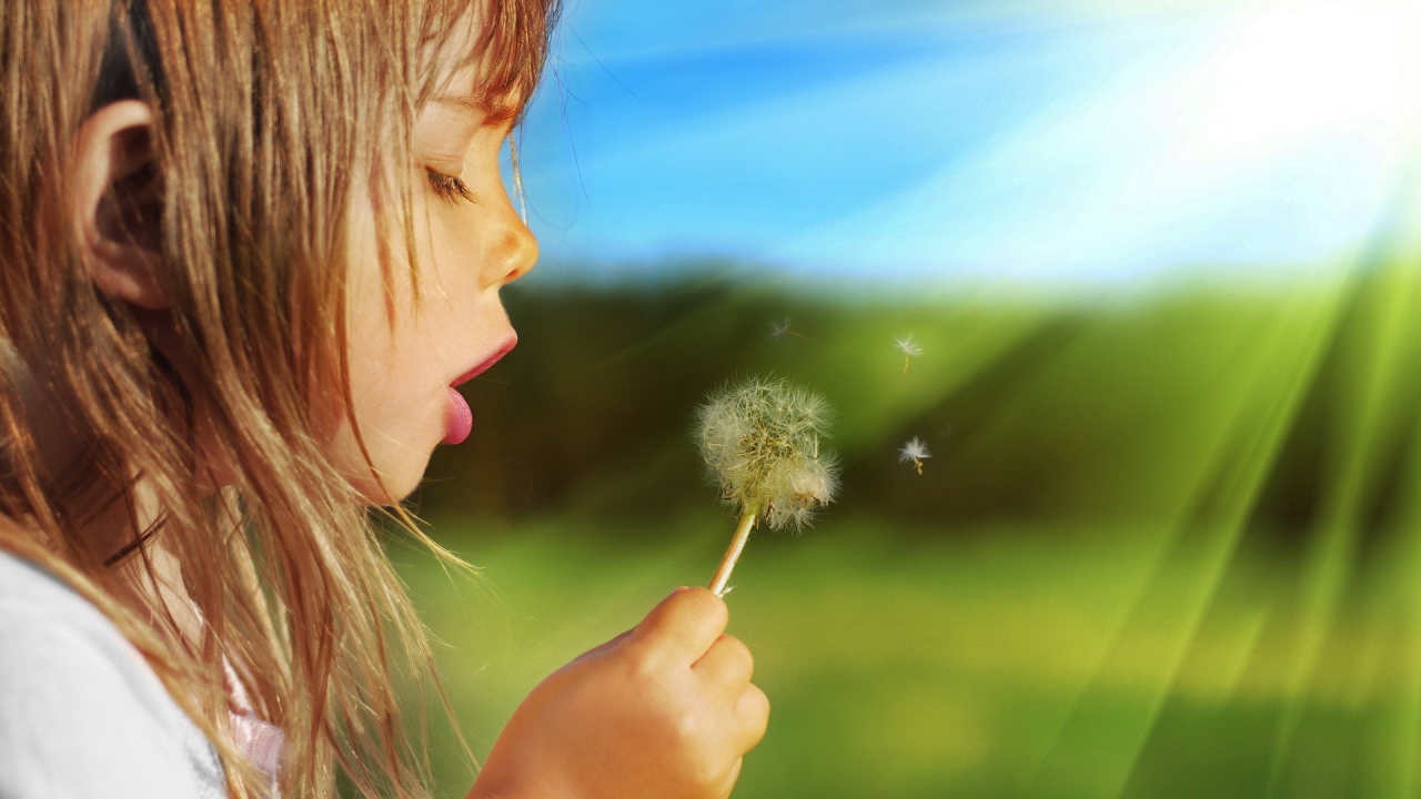 Девочка дует на одуванчик