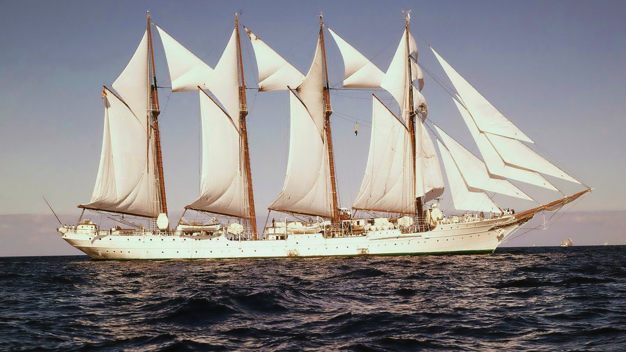 Попутный ветер в парусах