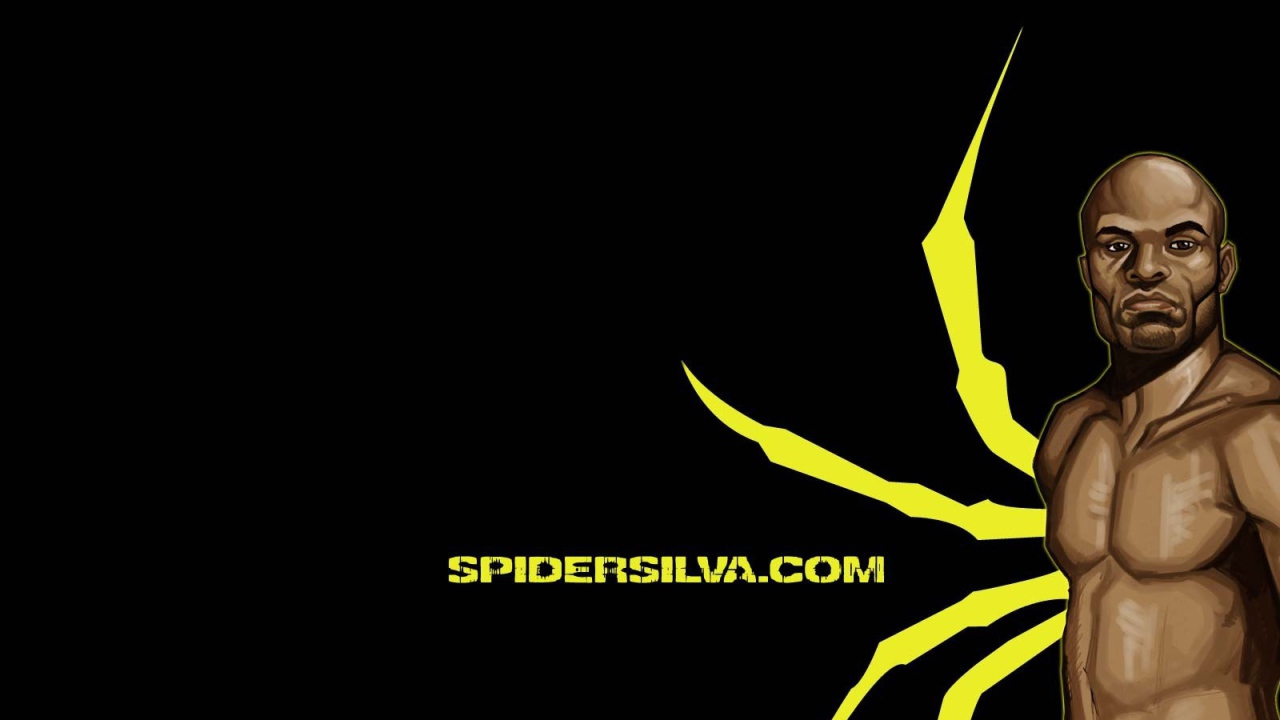 Опытный боец Андерсон Силва. Паук