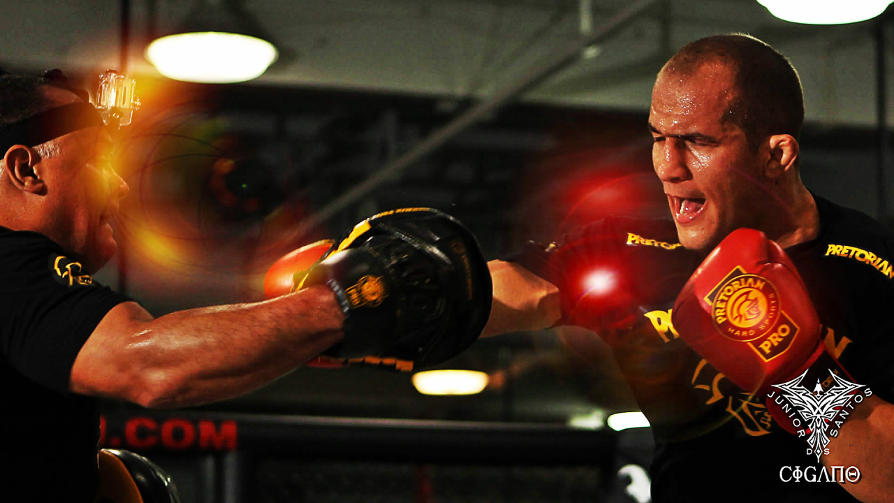 Боец Джуниор Дос Сантос