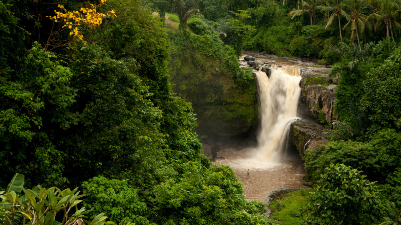 Водопад в джунглях Бали