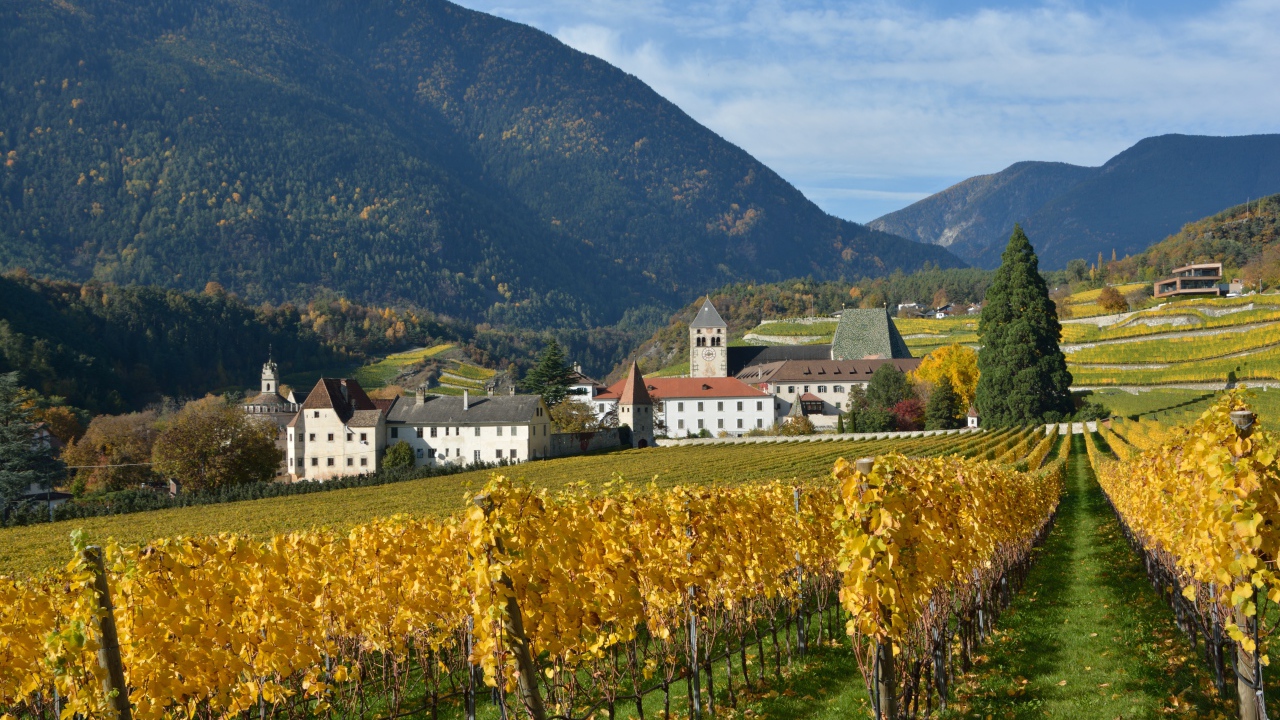 Поля в окрестностях города Нойштифт, Австрия