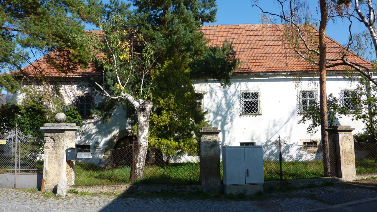 Дерево у дома в городе Лэнгенфельд, Австрия