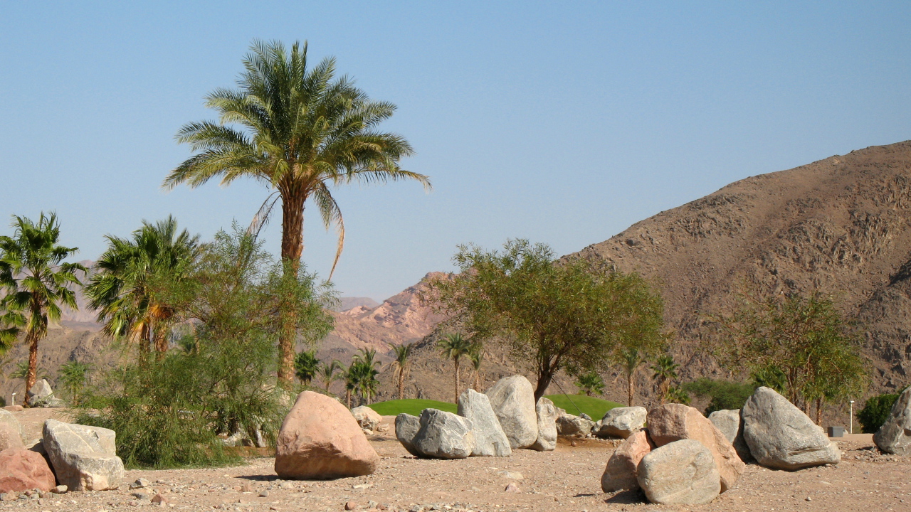 Пальмы на фоне гор на курорте Таба, Египет