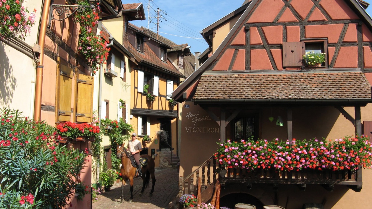 Цветущая улица в Эльзасе, Франция