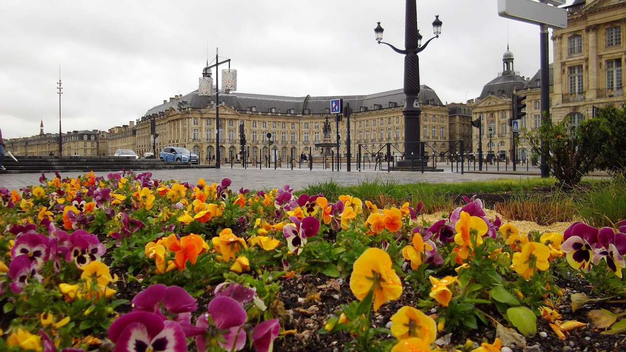 Цветочная клумба в Бордо, Франция