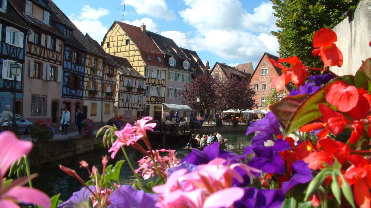 Цветы в Эльзасе, Франция