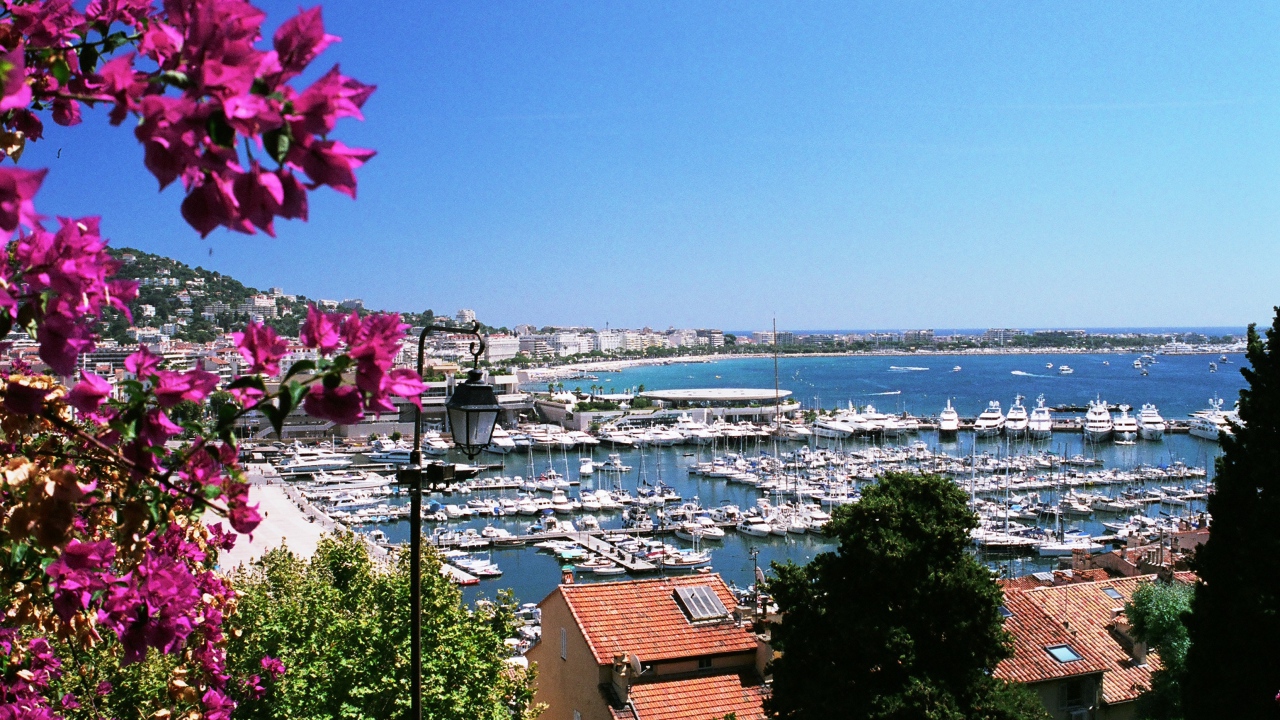 Цветы на фоне порта в Каннах, Франция