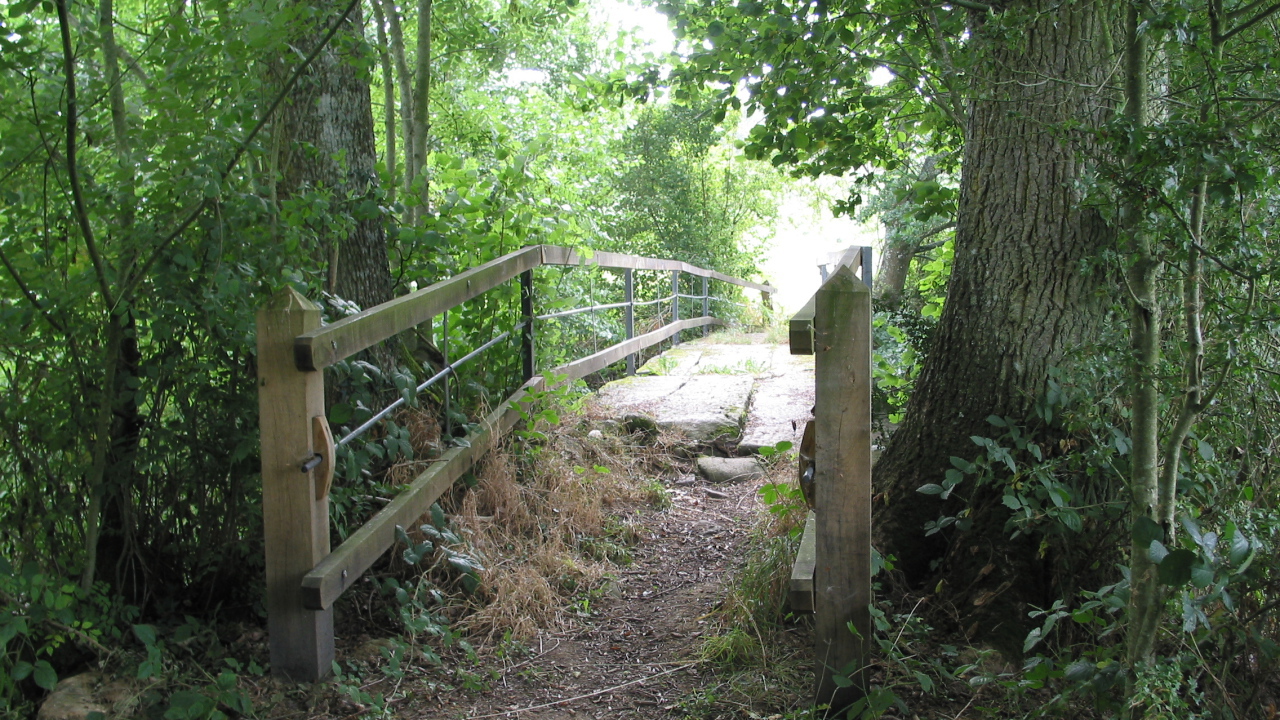 Лесная тропа в Нормандии, Франция