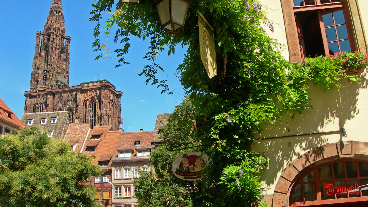 Зелень в городе Страсбург, Франция