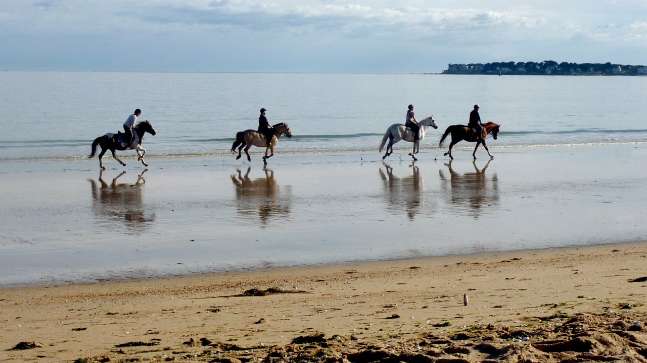 Конная прогулка на курорте Ла Боль, Франция