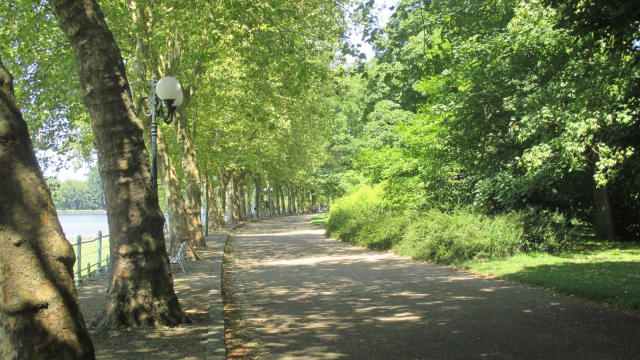 Парковая аллея в городе Виши, Франция