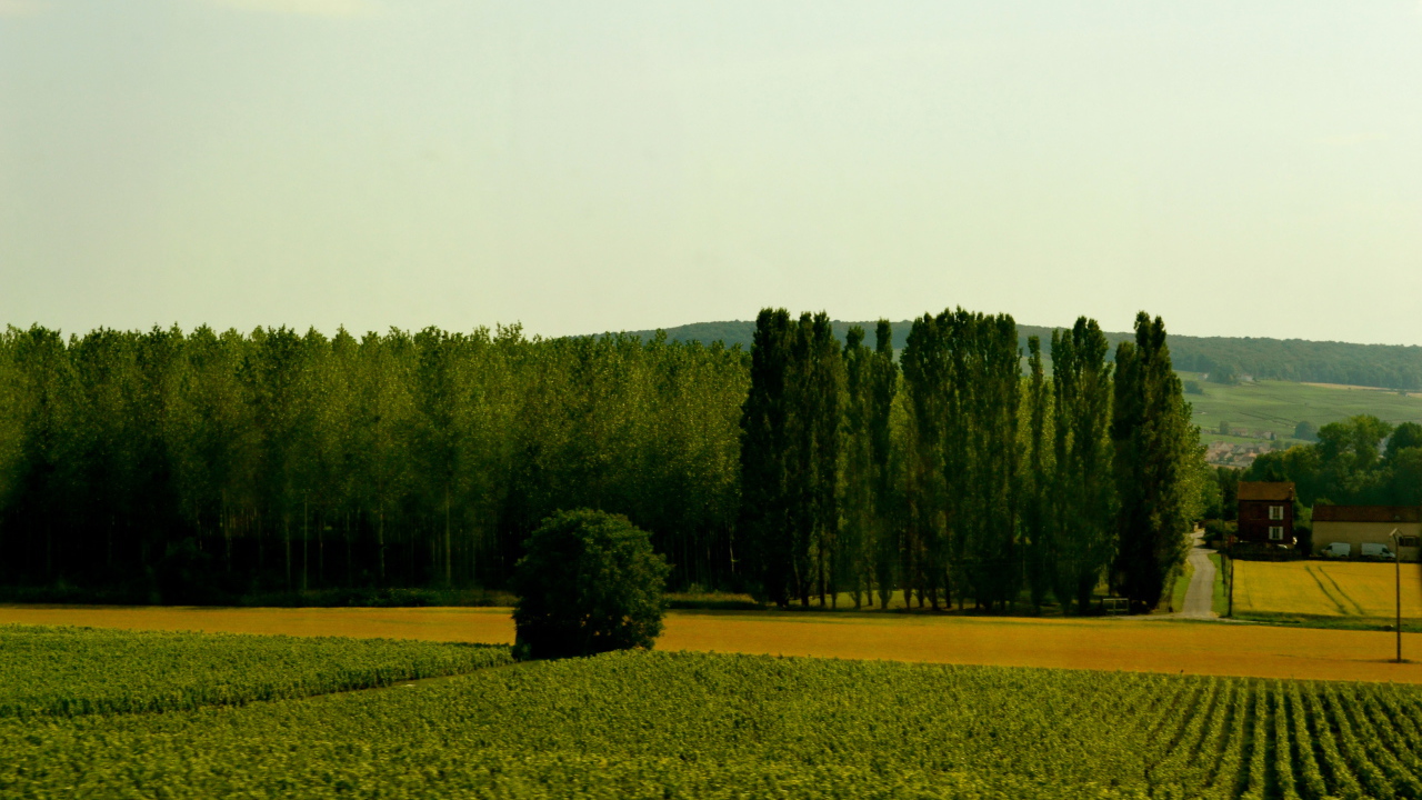 Сельский пейзаж в провинции Шампань, Франция