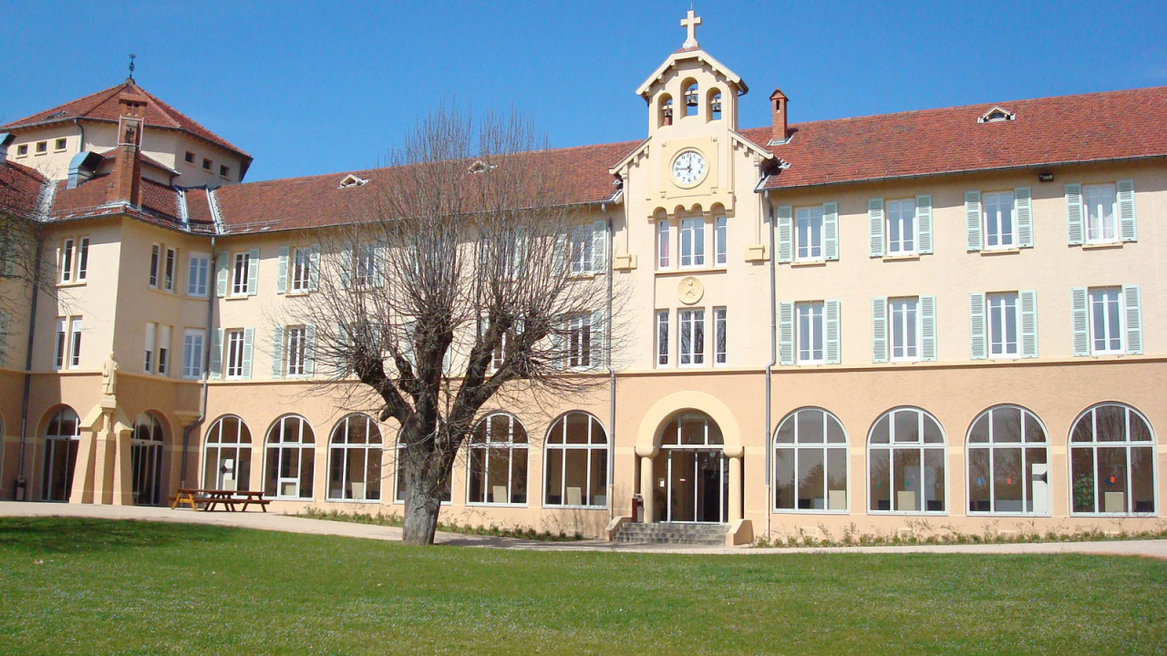 Дерево у здания в городе Лион, Франция
