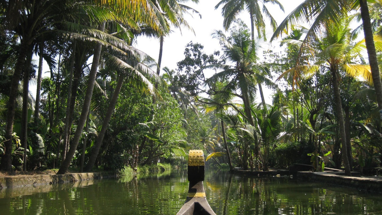 Прогулка на лодке в Алапуже