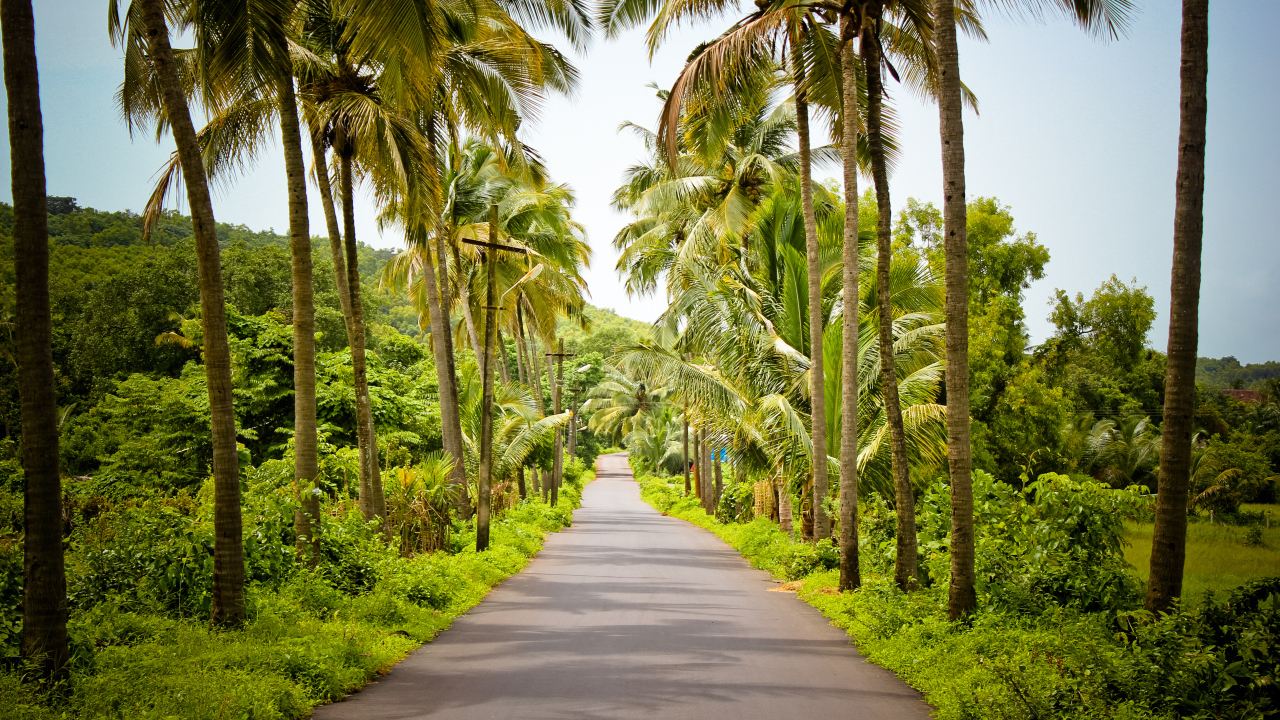 Красивые улицы в Гоа