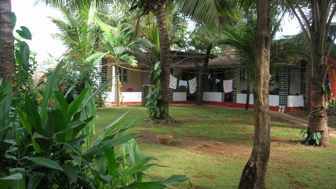 Красивые деревья в Бенаулиме