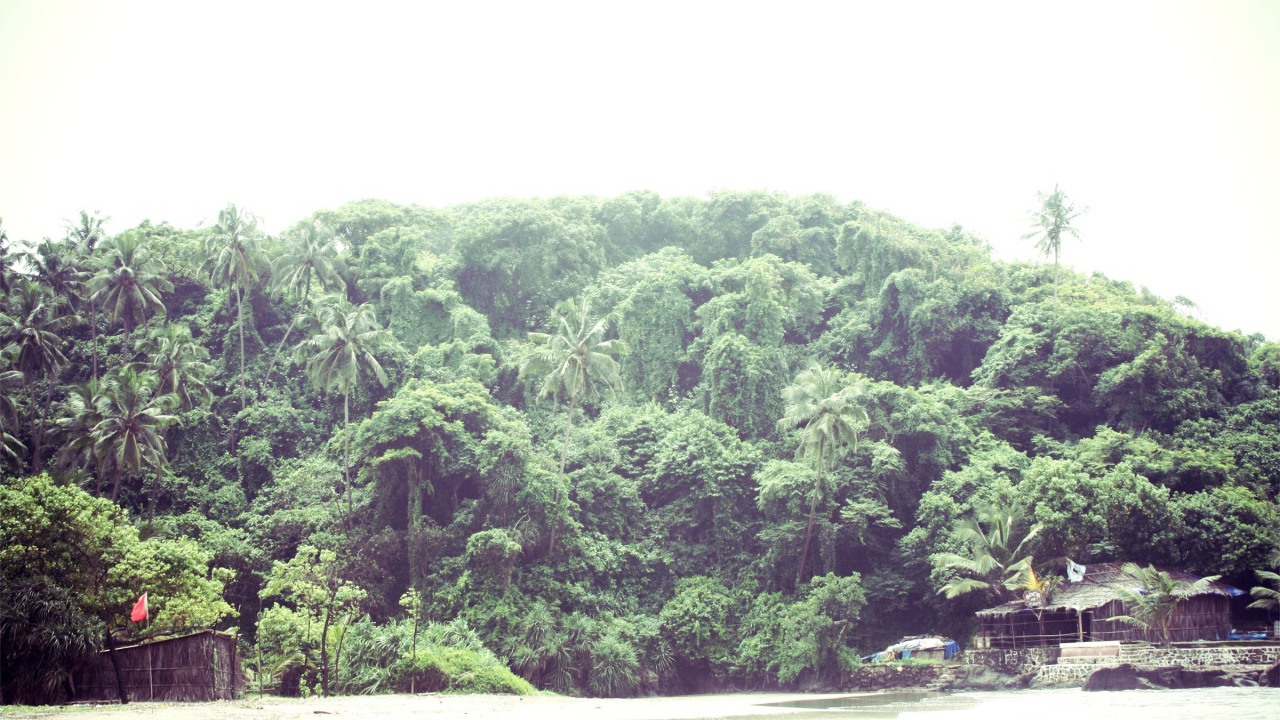 Природа в Вагаторе